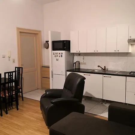 Mediacite, Parking ,universite, Centre, Village De Noel Appartement *